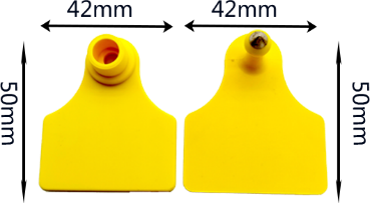 b.png