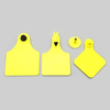 Secure TPU Ear Label for Pig and Sheep Livestock