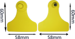 t.png